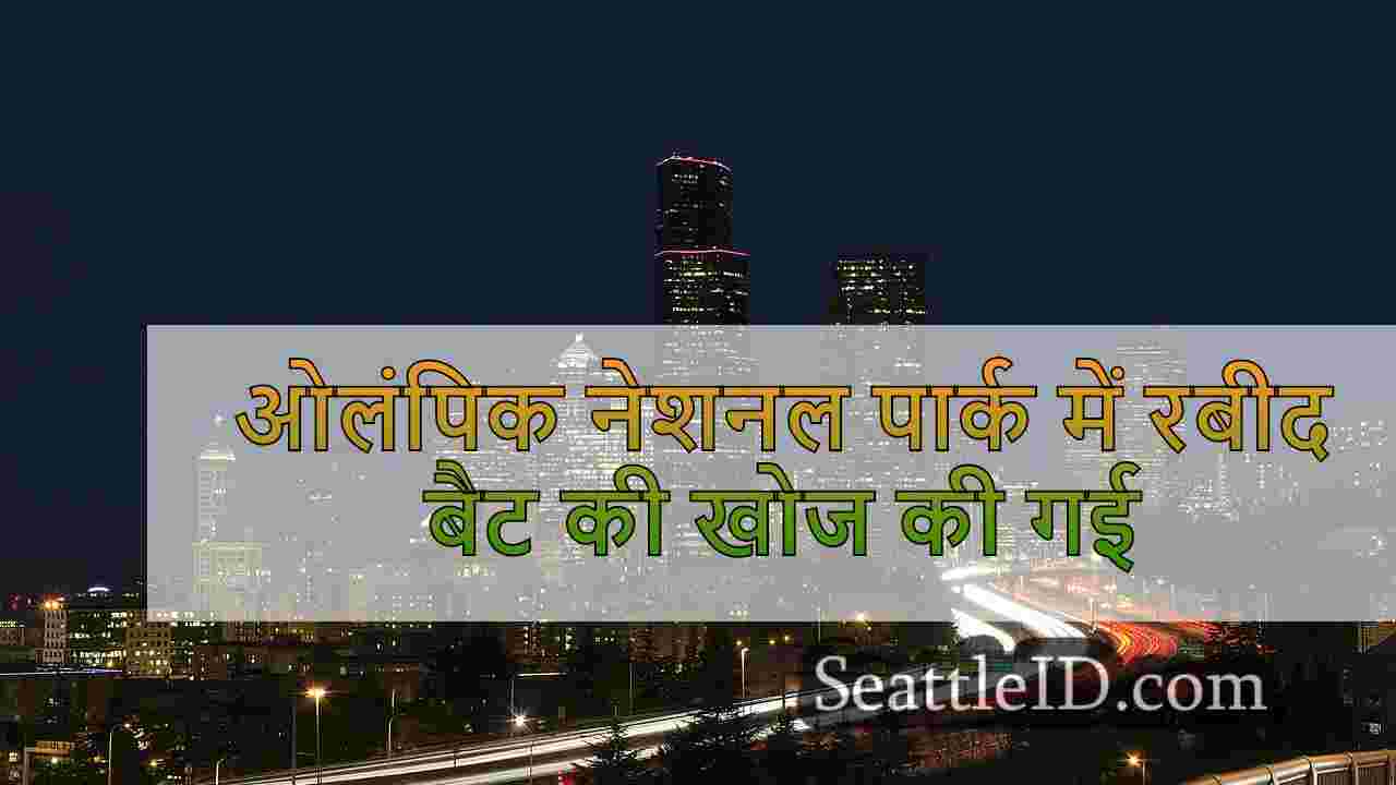 सिएटल समाचार SeattleID
