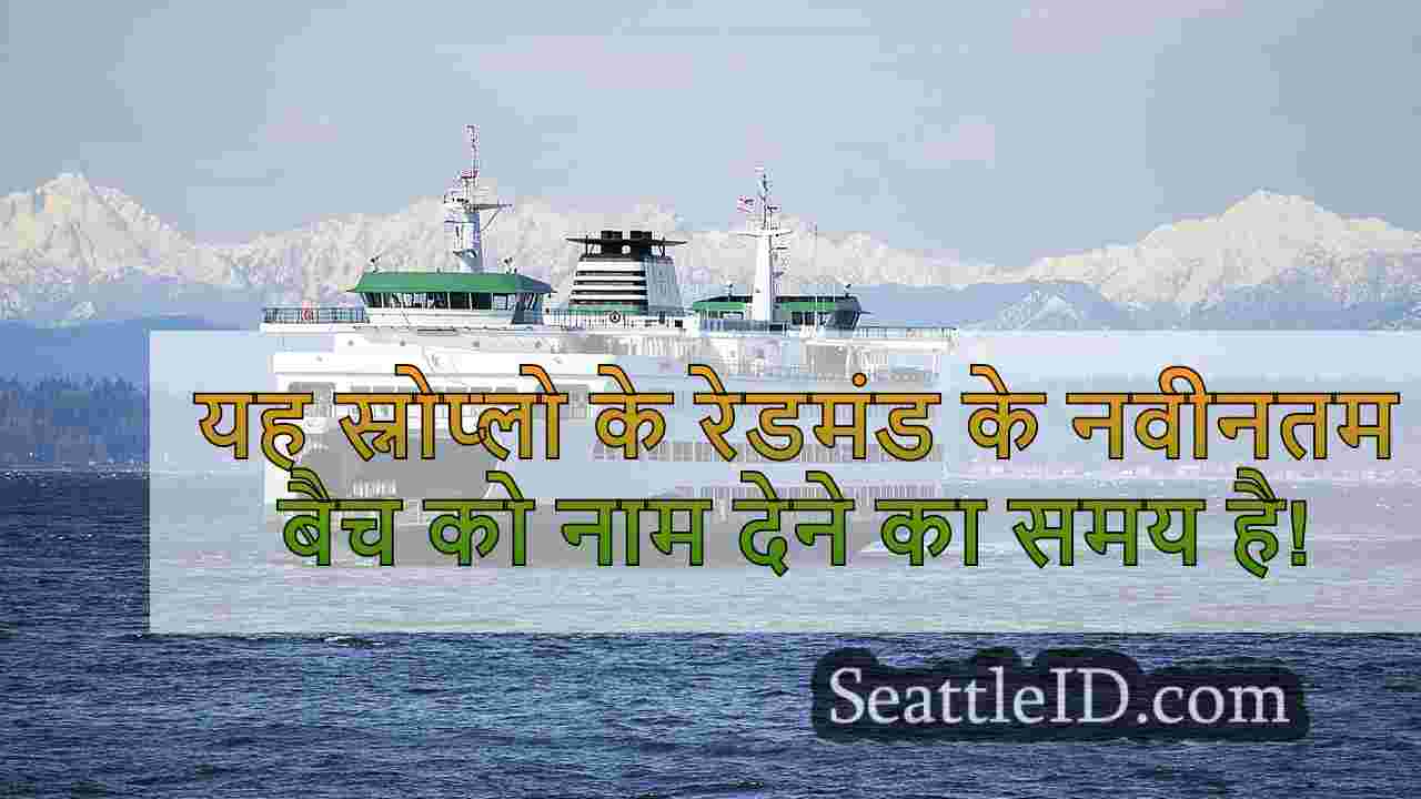 सिएटल समाचार SeattleID
