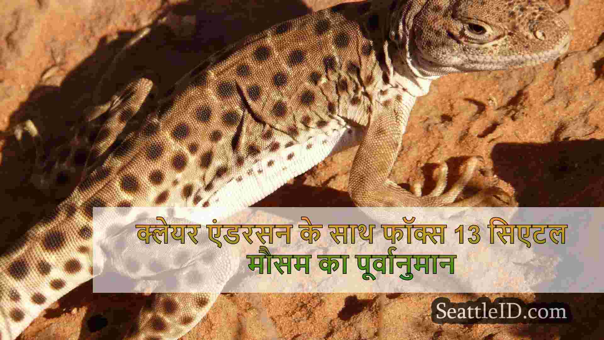सिएटल समाचार SeattleID