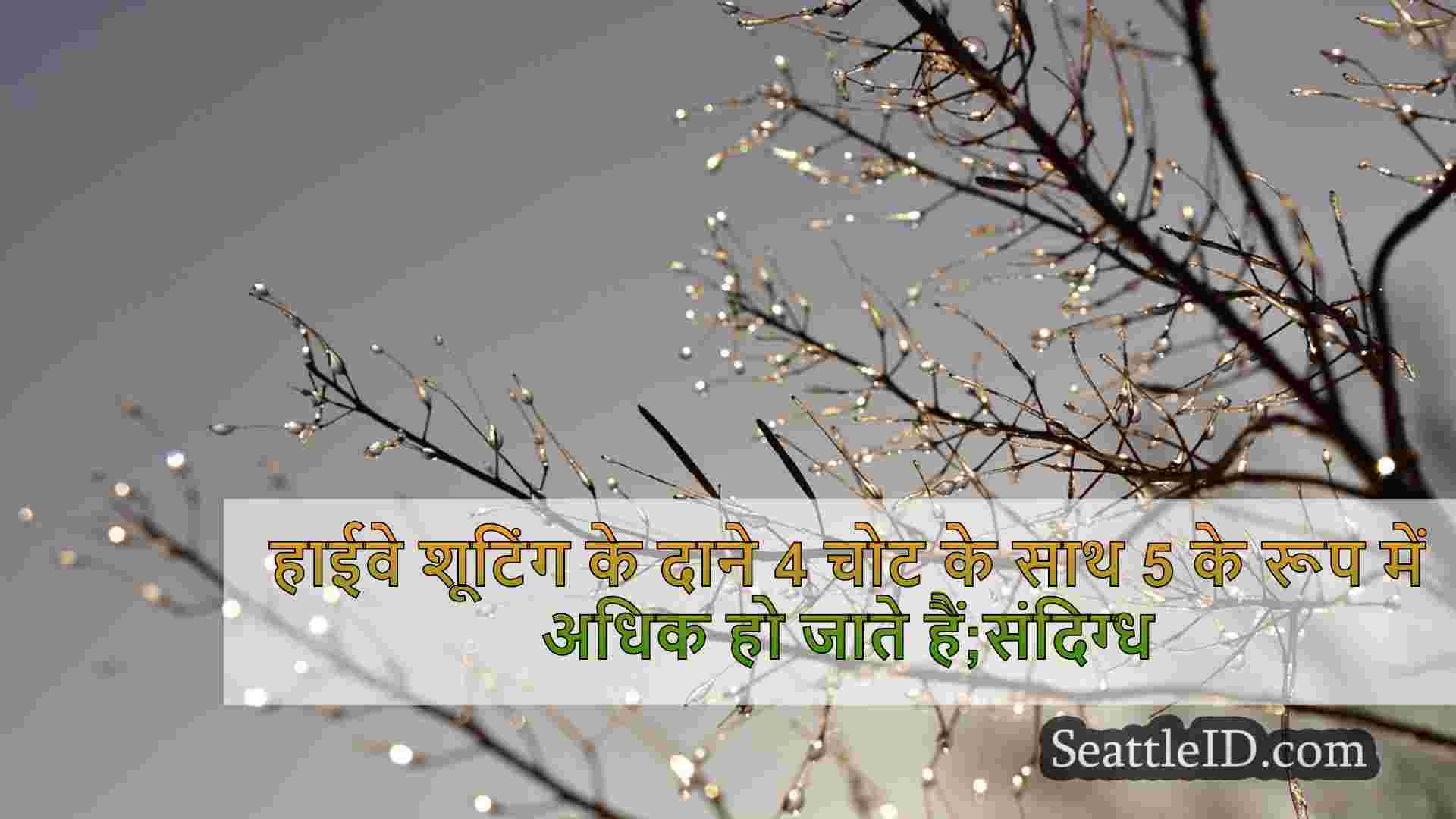 सिएटल समाचार SeattleID