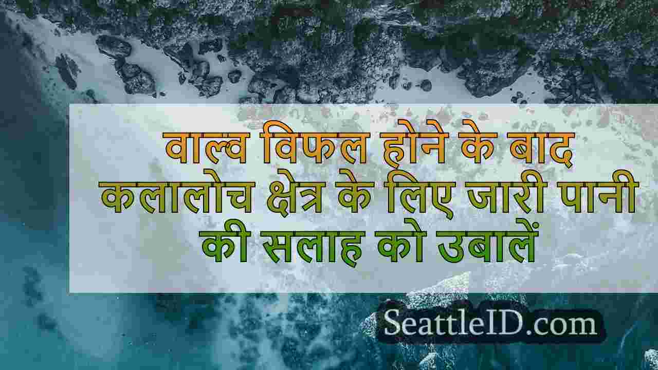 सिएटल समाचार SeattleID