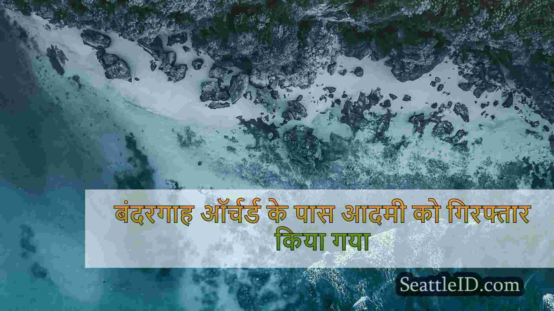 सिएटल समाचार SeattleID