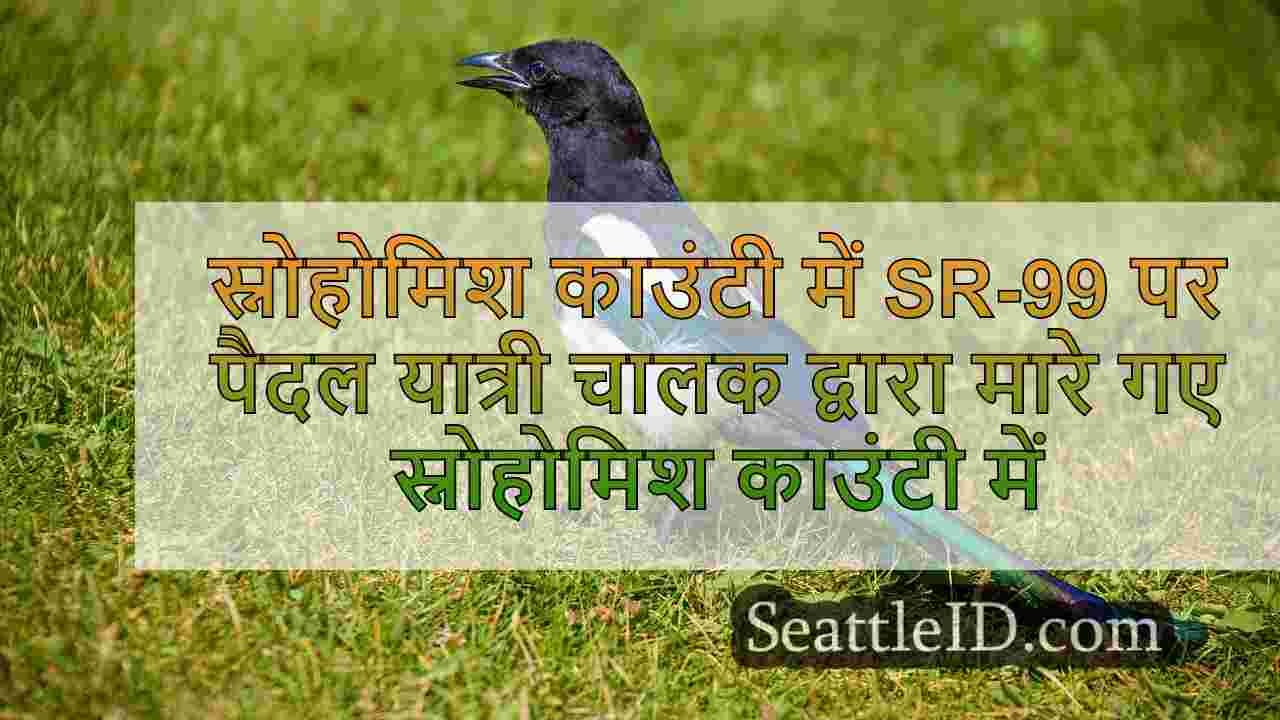 सिएटल समाचार SeattleID