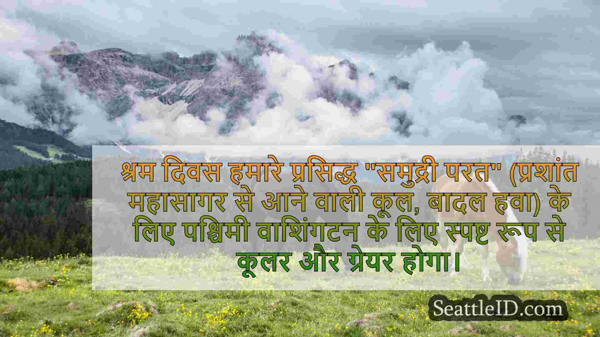 सिएटल समाचार SeattleID