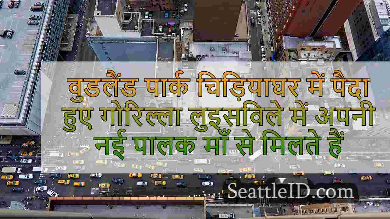 सिएटल समाचार SeattleID
