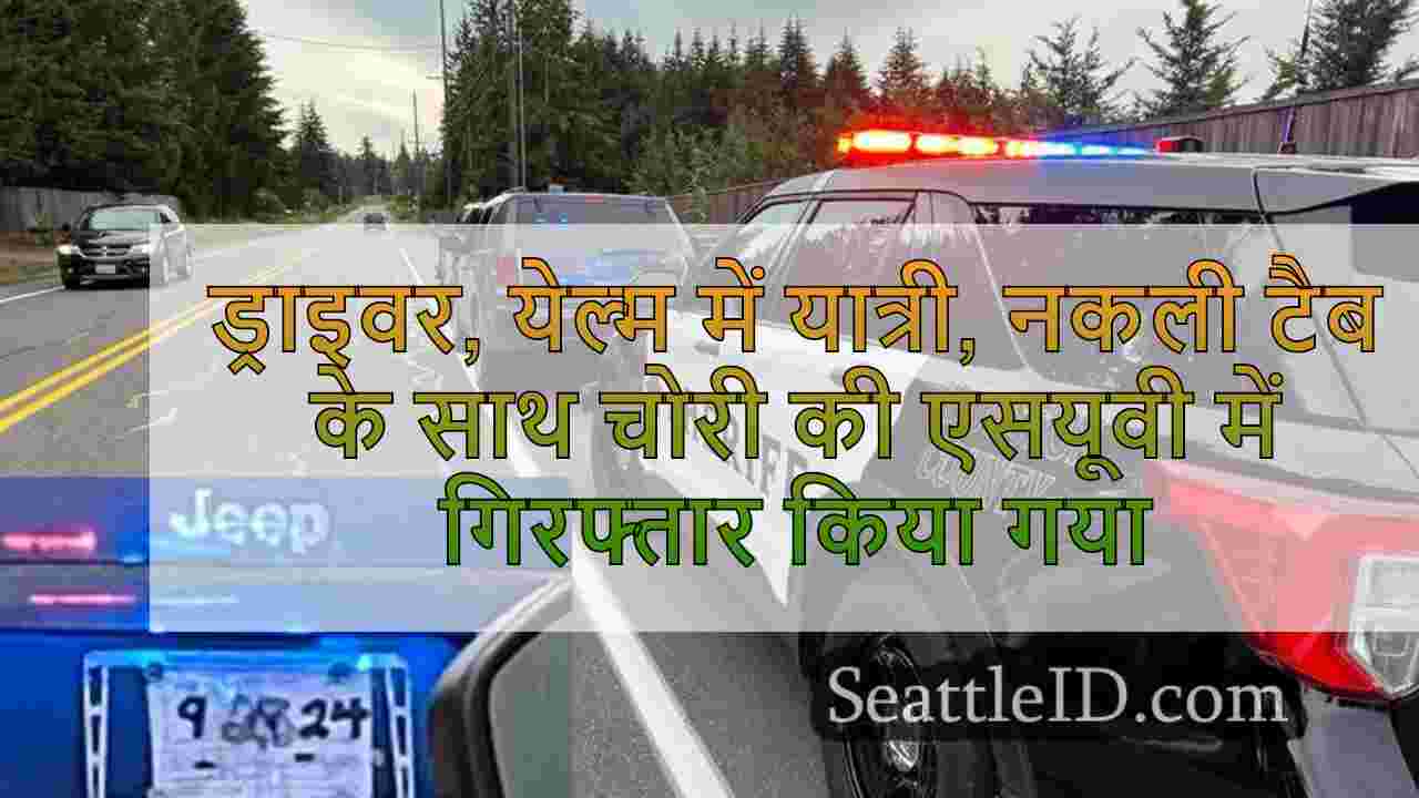 ड्राइवर, येल्म में यात्री, नकली टैब के