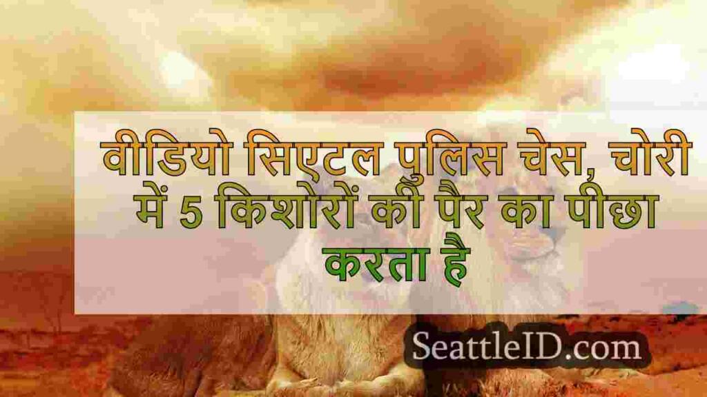 वीडियो कैप्चर सिएटल पुलिस चेस, चोरी की