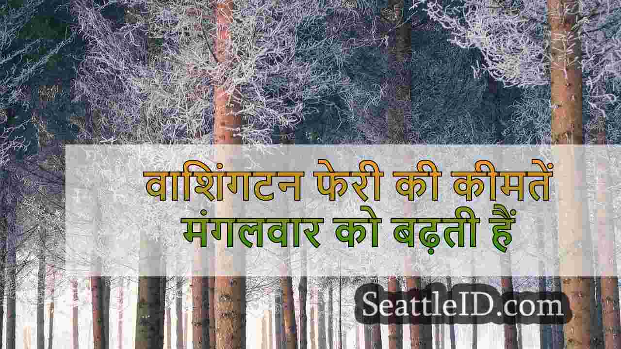 सिएटल समाचार SeattleID