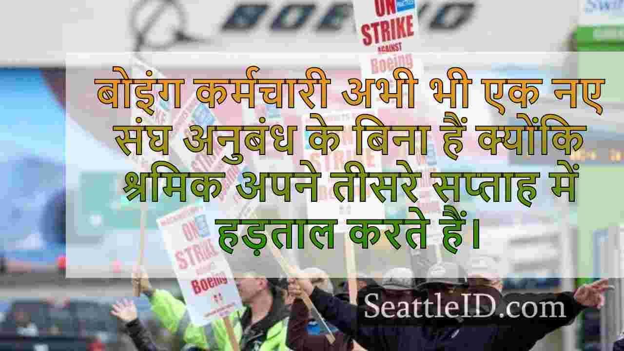 सिएटल समाचार SeattleID