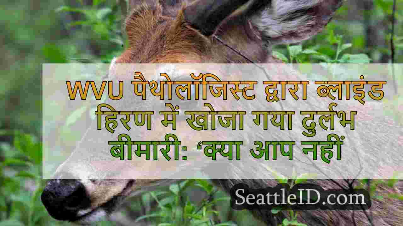 डब्ल्यूएसयू पैथोलॉजिस्ट द्वारा अंधे