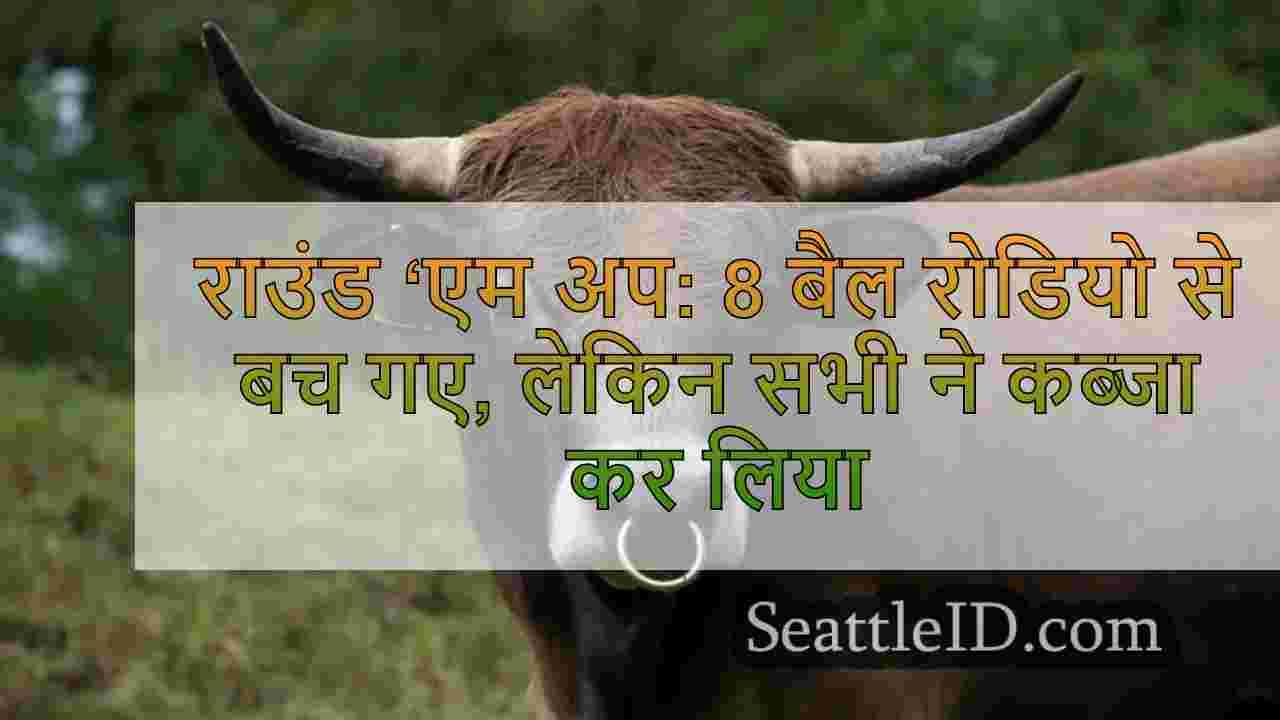 राउंड ‘एम अप: 8 बैल रोडियो से बच गए,