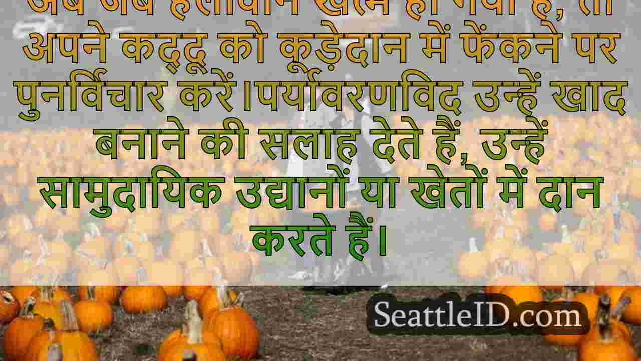 शीर्ष कद्दू पैच, अब यात्रा करने के लिए