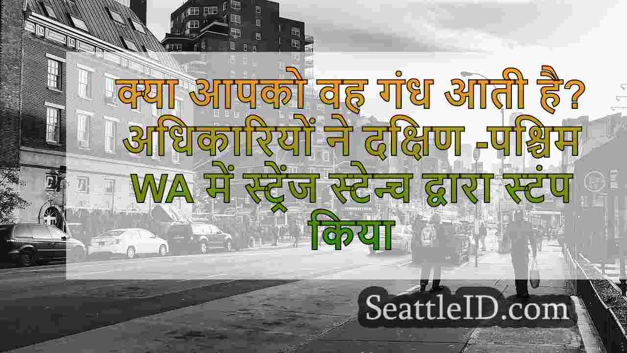 सिएटल समाचार SeattleID