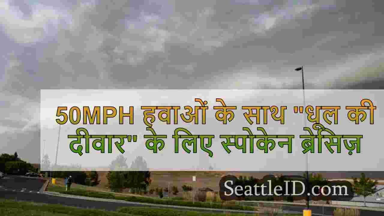 50mph हवाओं के साथ धूल की दीवार के लिए