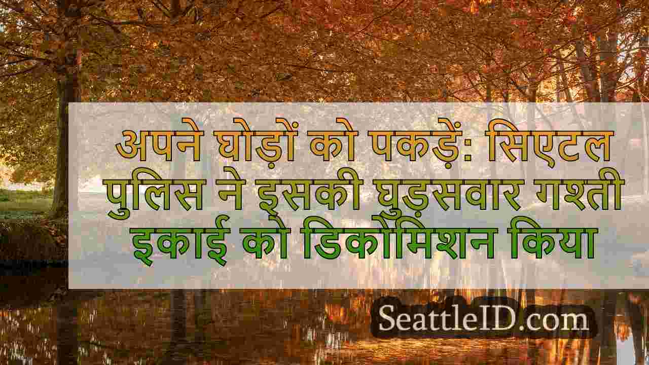 सिएटल समाचार SeattleID