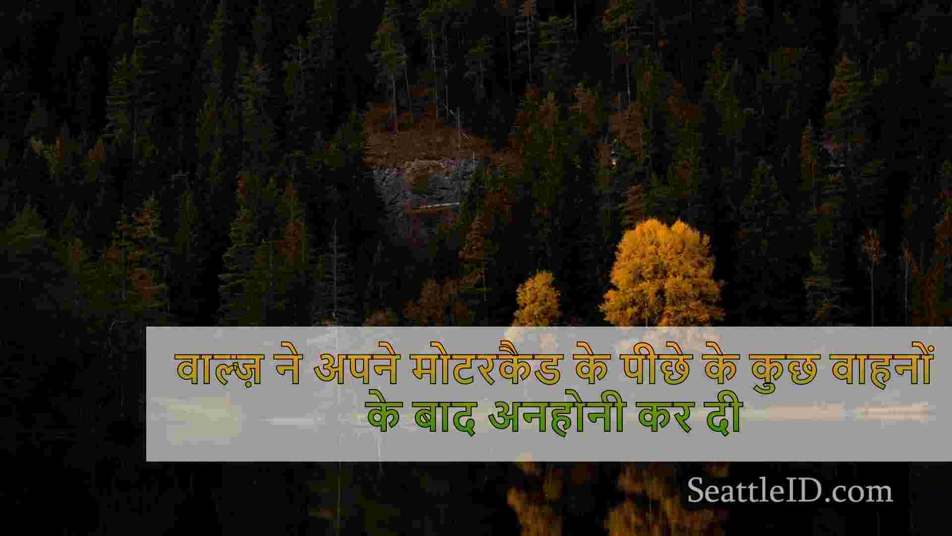 सिएटल समाचार SeattleID