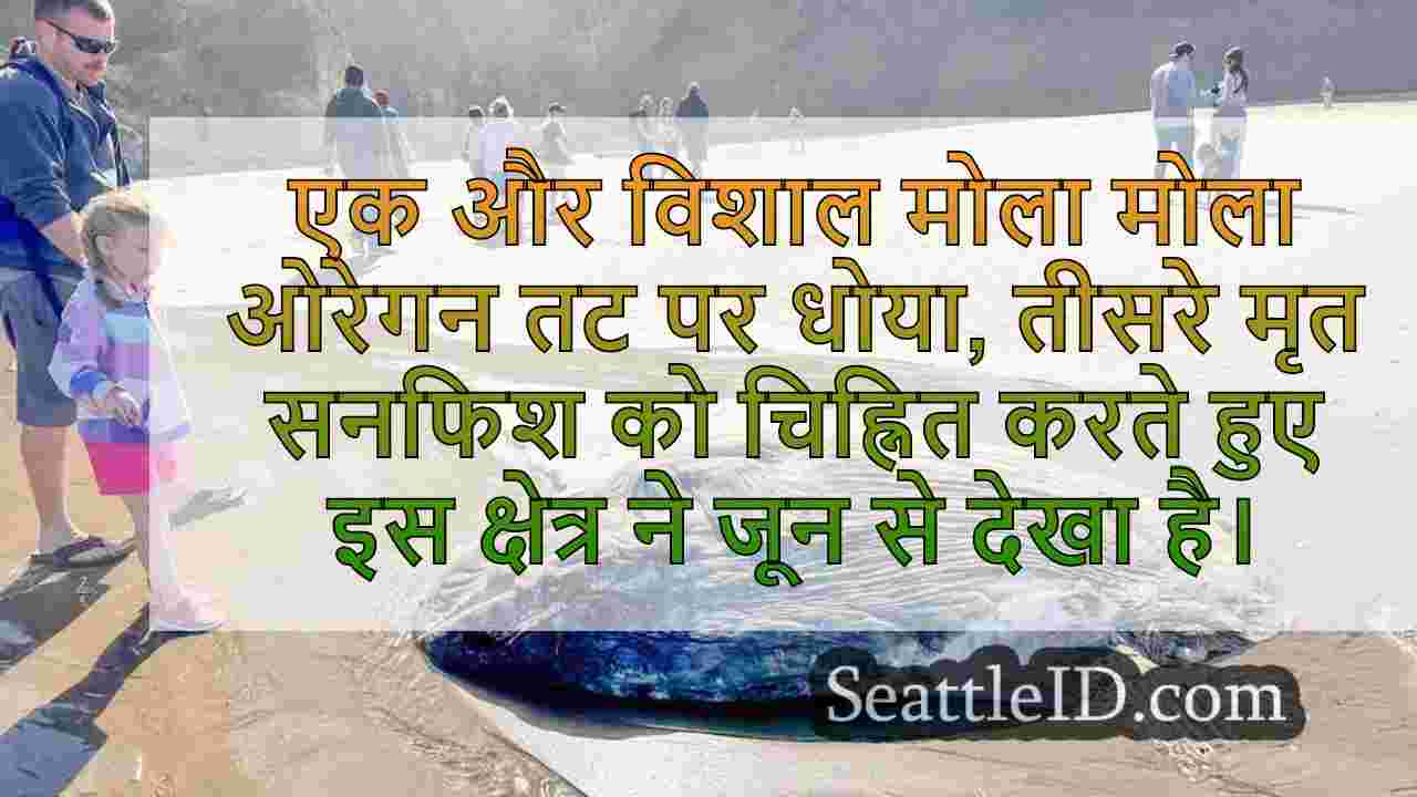 एक और बड़े पैमाने पर सनफिश ने जून के