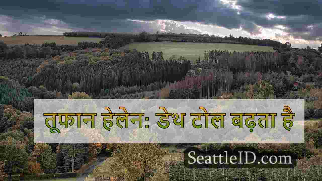 सिएटल समाचार SeattleID