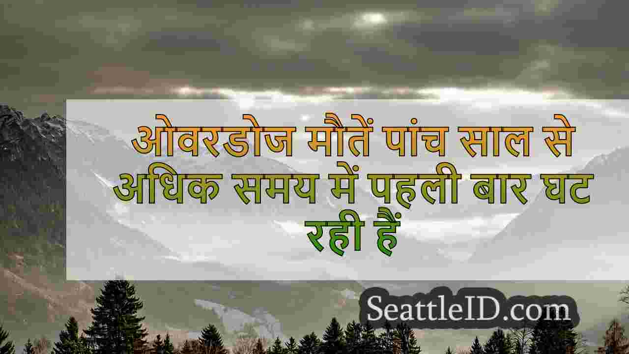 सिएटल समाचार SeattleID
