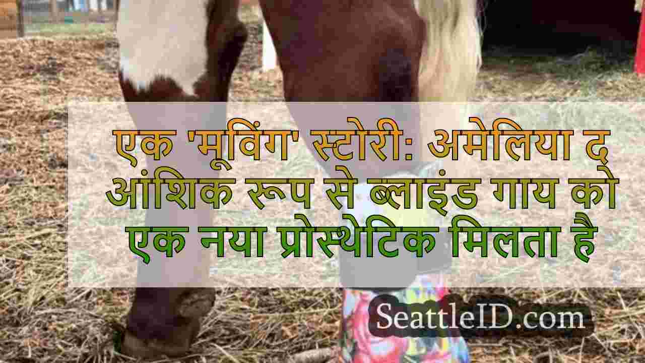 एक 'मूविंग' स्टोरी: अमेलिया द आंशिक रूप