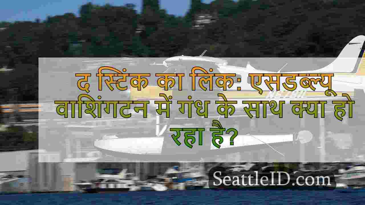 सिएटल समाचार SeattleID