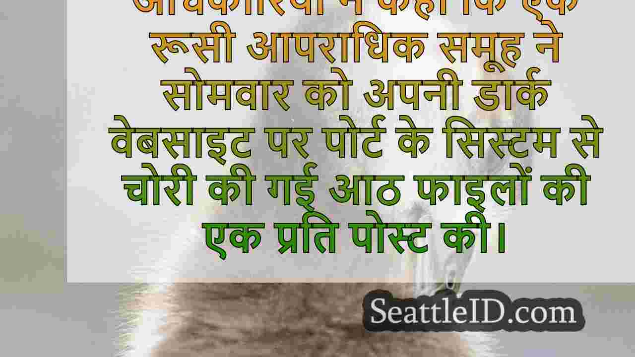 सिएटल समाचार SeattleID