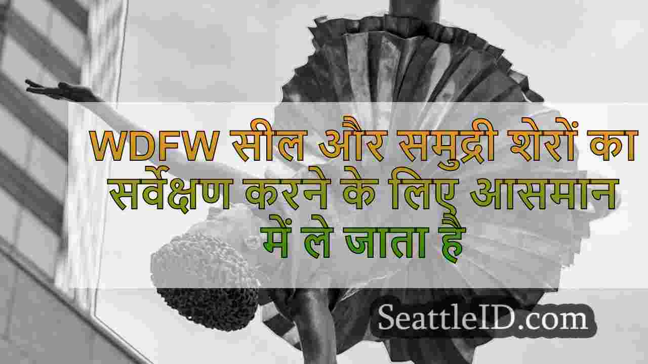 सिएटल समाचार SeattleID