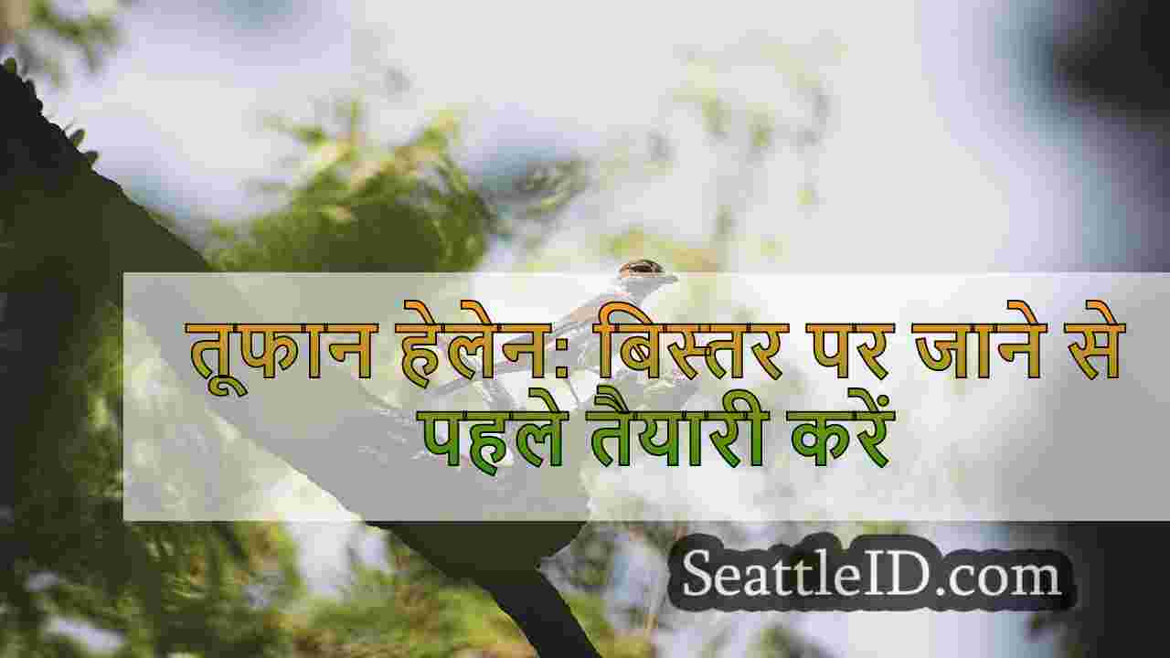 सिएटल समाचार SeattleID