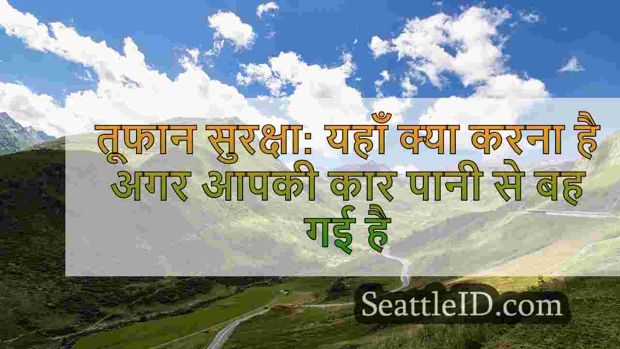 सिएटल समाचार SeattleID