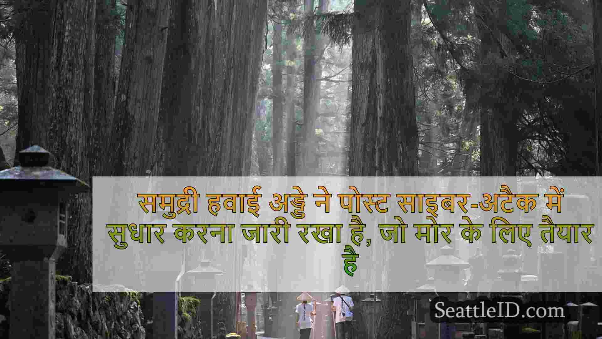 समुद्री हवाई अड्डे ने पोस्ट साइबर-अटैक