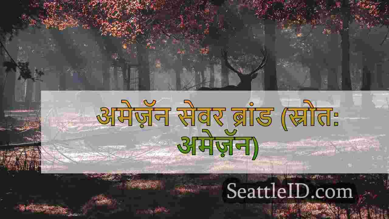 सिएटल समाचार SeattleID