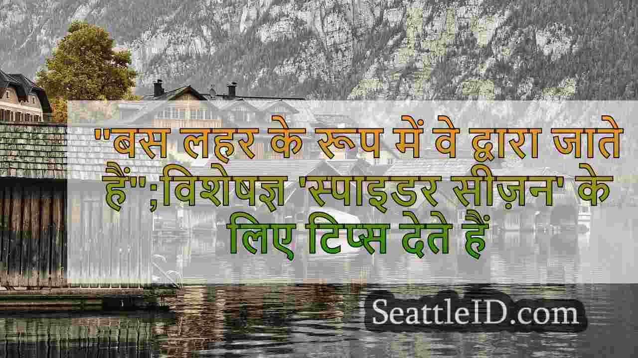 सिएटल समाचार SeattleID