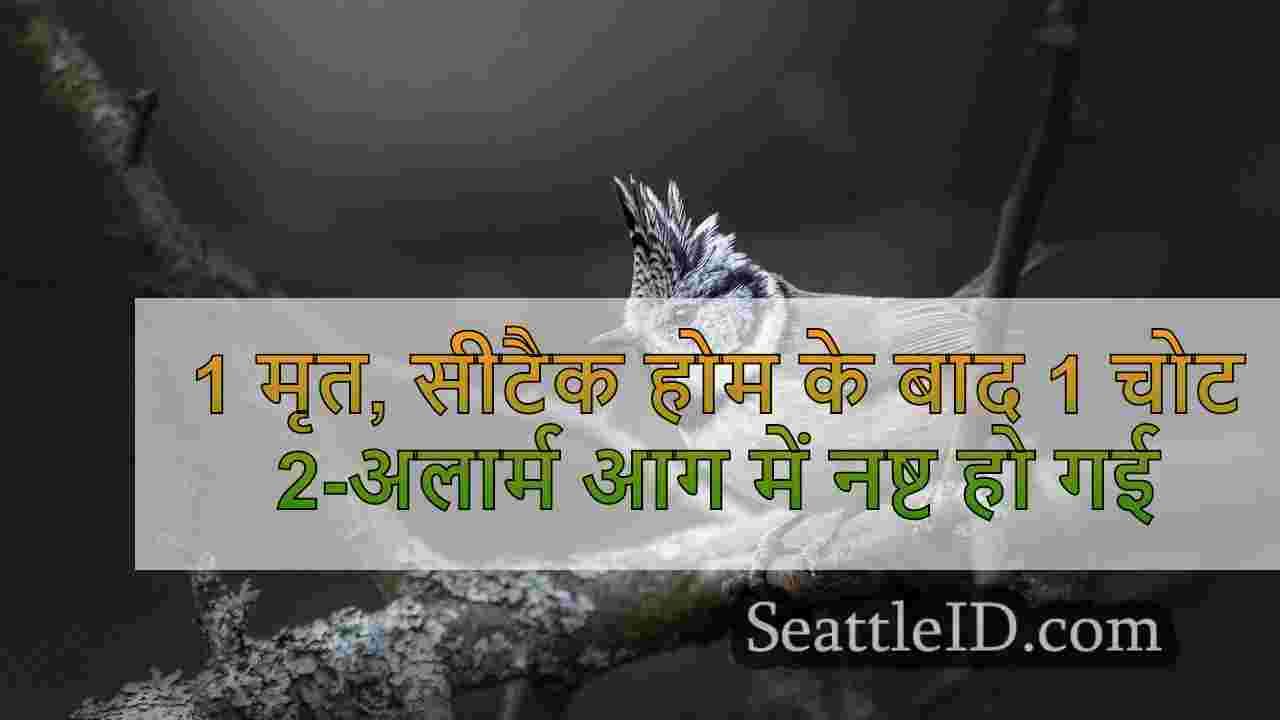 सिएटल समाचार SeattleID