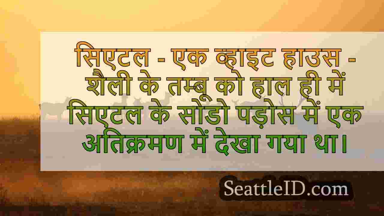 सिएटल समाचार SeattleID