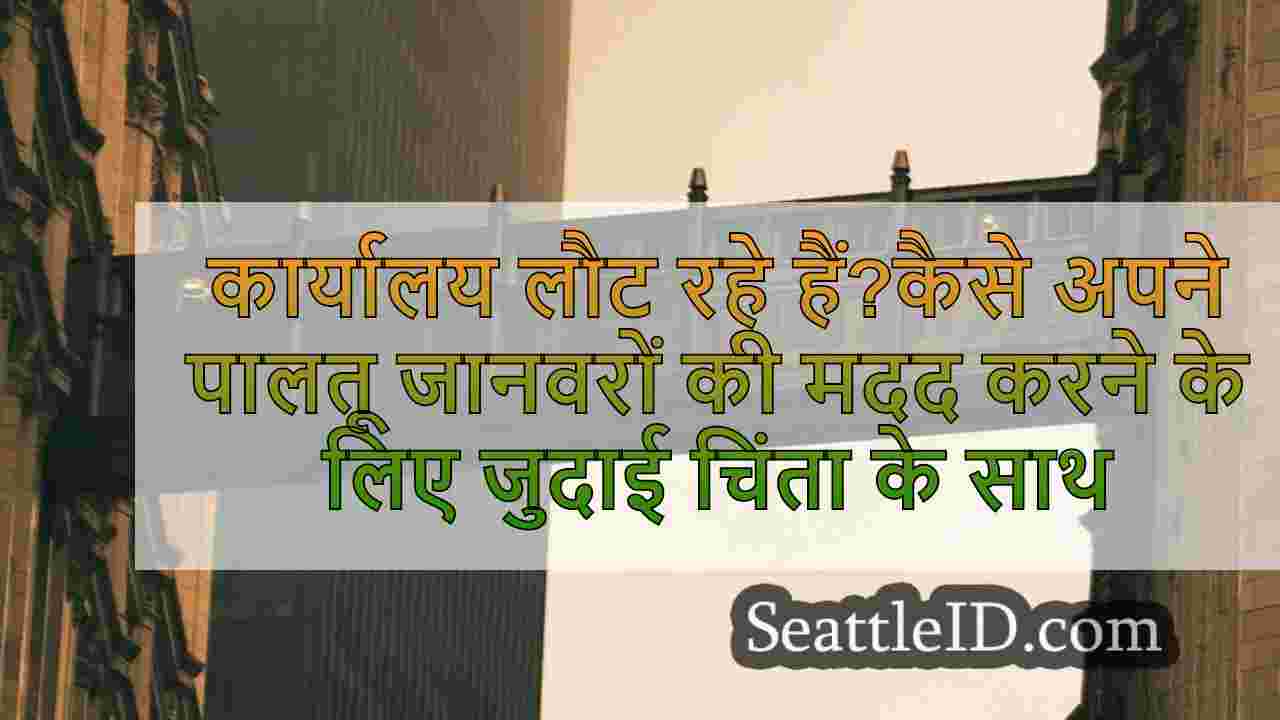 सिएटल समाचार SeattleID