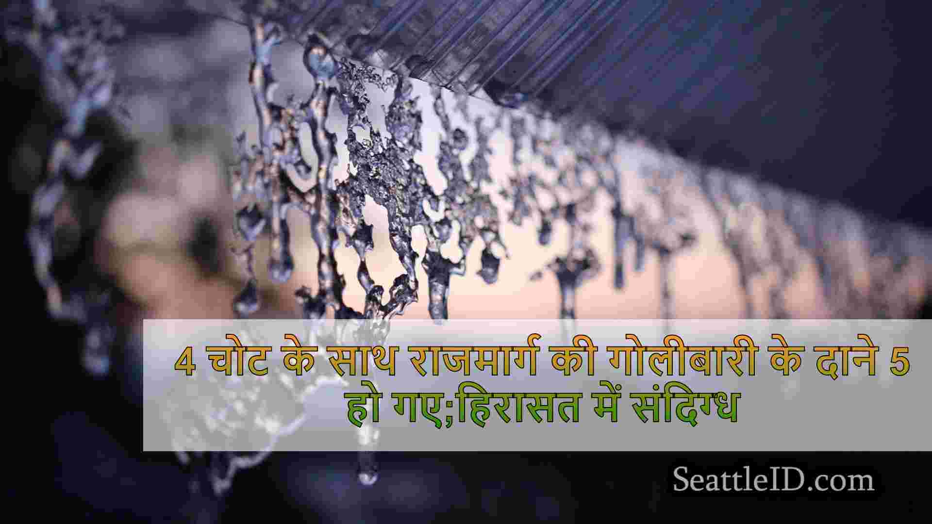 सिएटल समाचार SeattleID