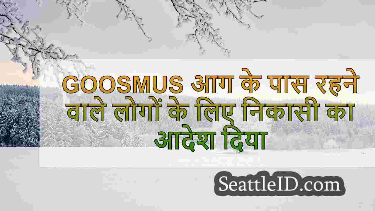 सिएटल समाचार SeattleID