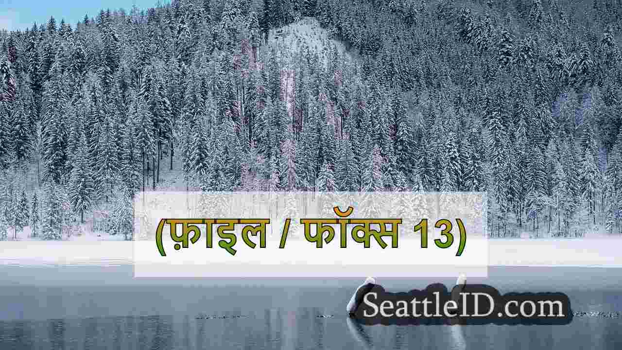 सिएटल समाचार SeattleID