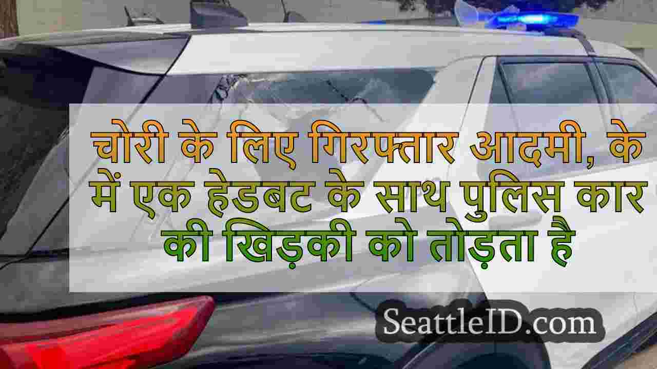 चोरी के लिए गिरफ्तार आदमी, केनेविक में