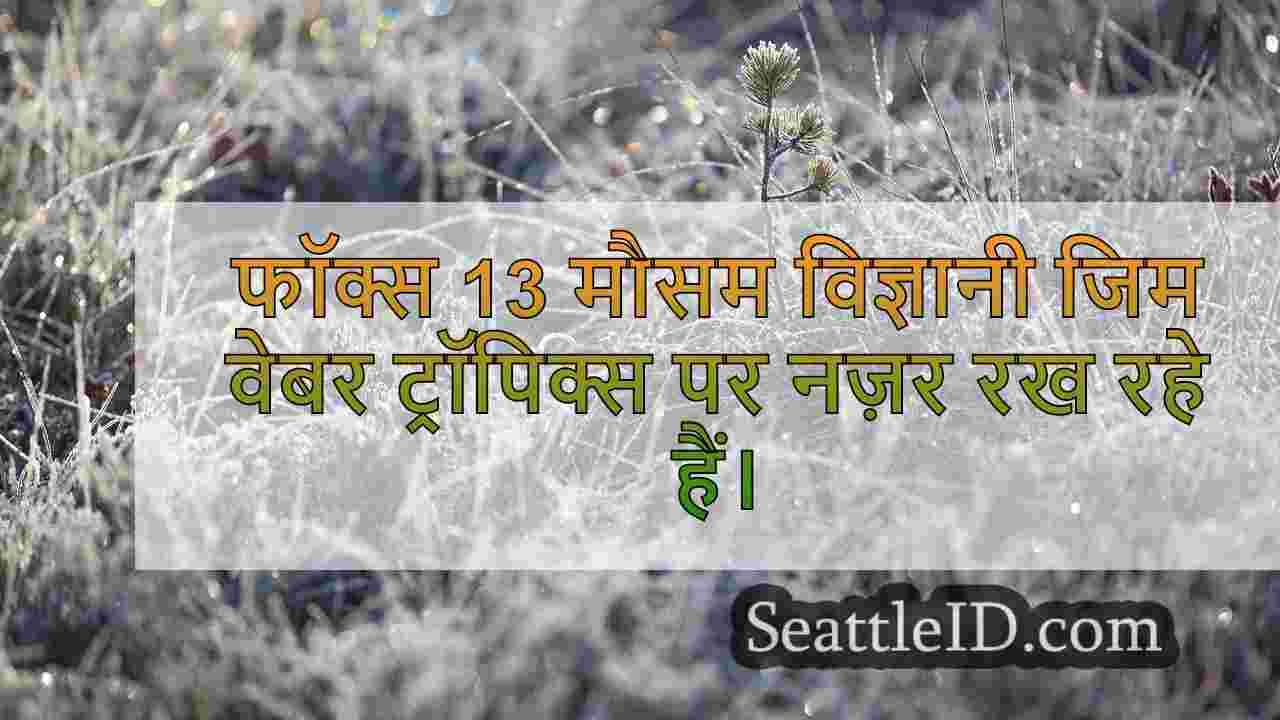 सिएटल समाचार SeattleID