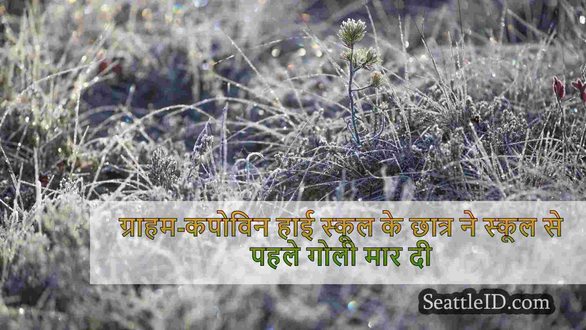 सिएटल समाचार SeattleID