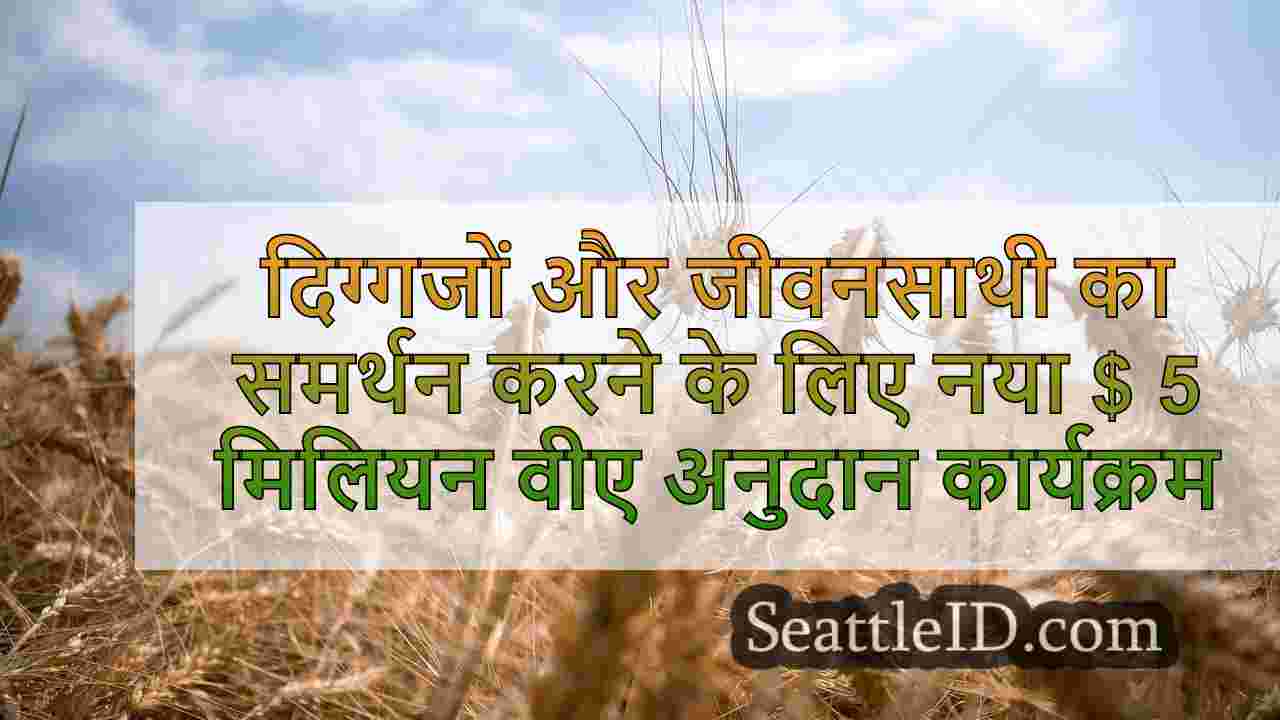 सिएटल समाचार SeattleID