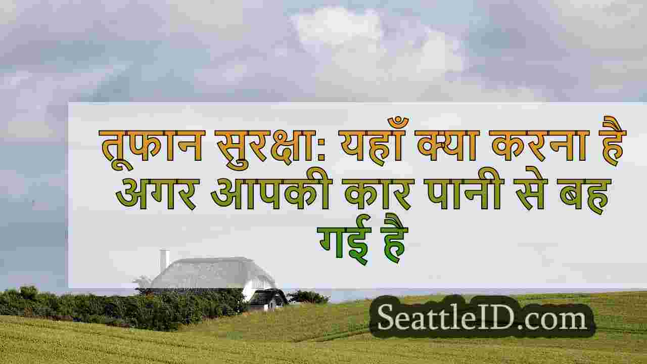 सिएटल समाचार SeattleID