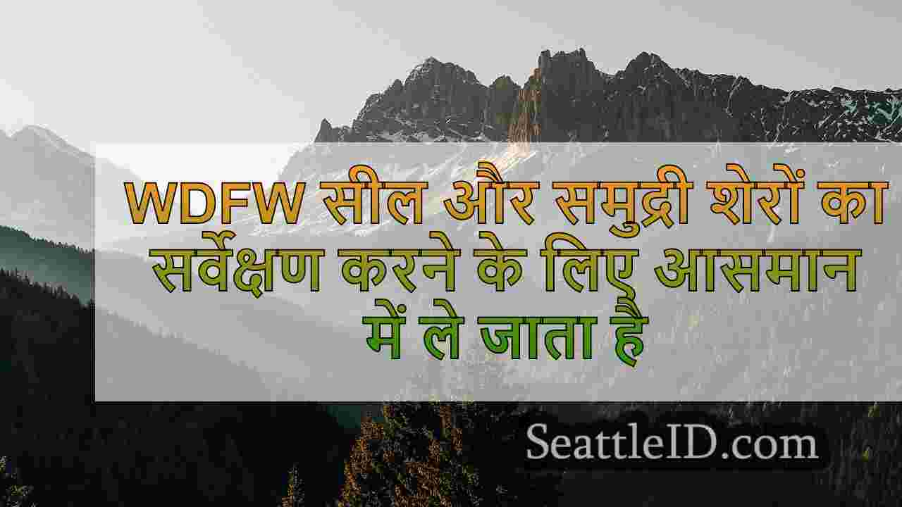 सिएटल समाचार SeattleID