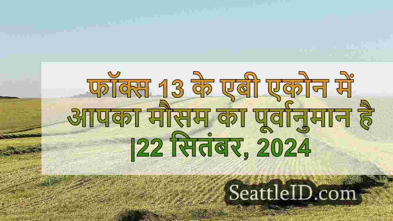 सिएटल समाचार SeattleID