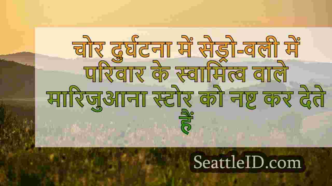 सिएटल समाचार SeattleID