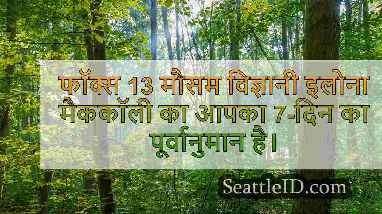 सिएटल समाचार SeattleID