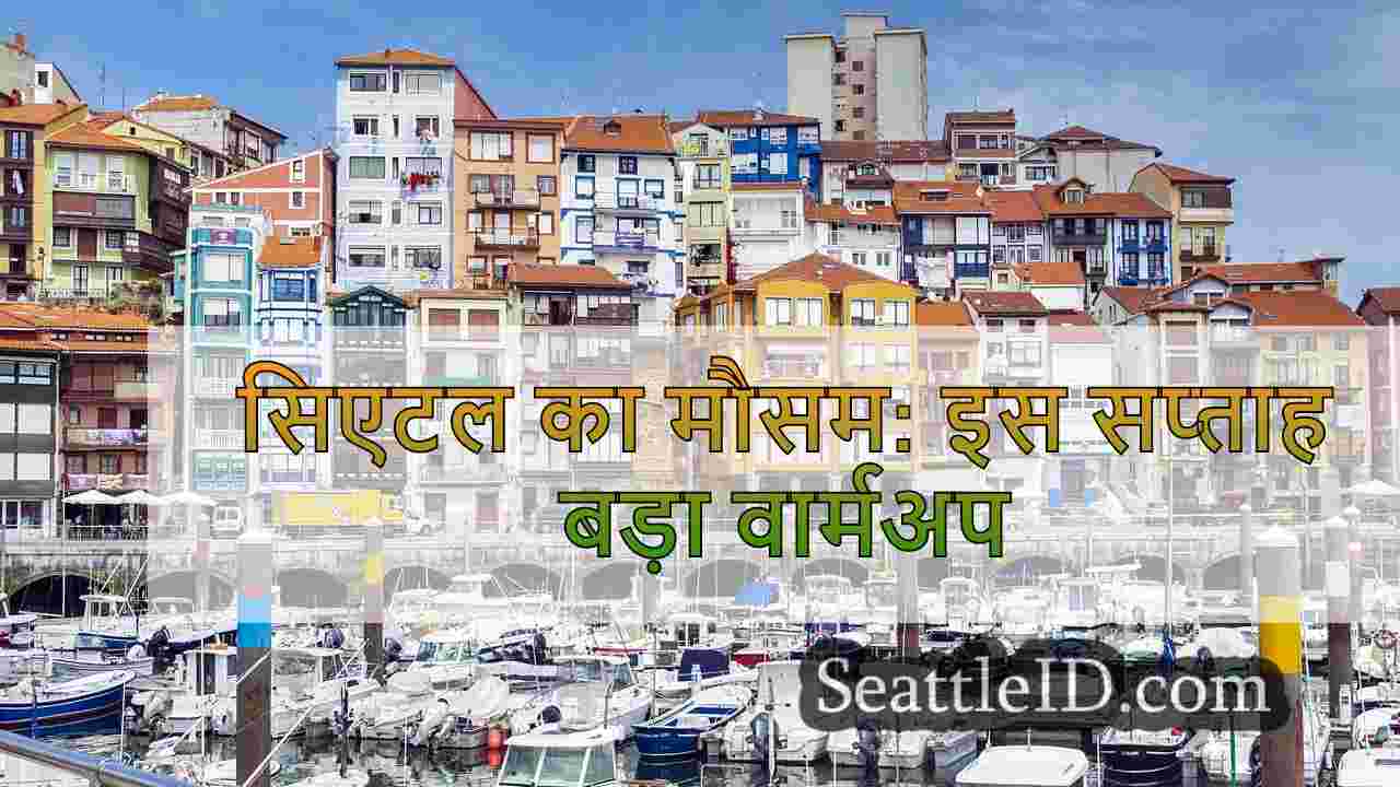 सिएटल समाचार SeattleID