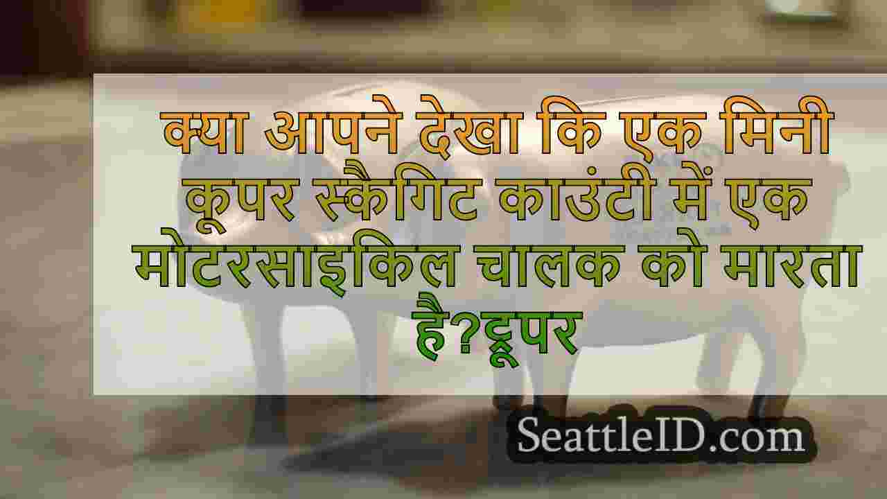 सिएटल समाचार SeattleID