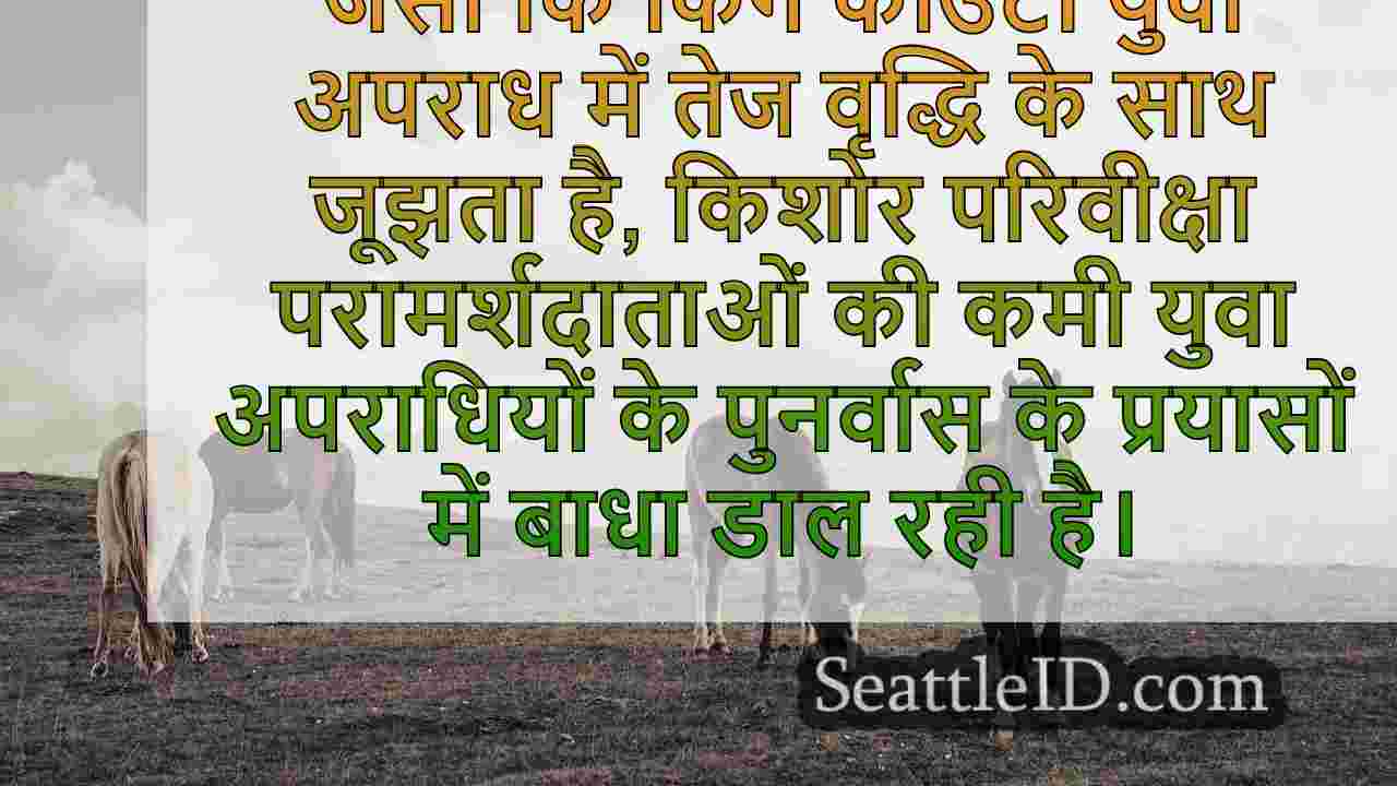 किंग काउंटी में युवा अपराध, परिवीक्षा